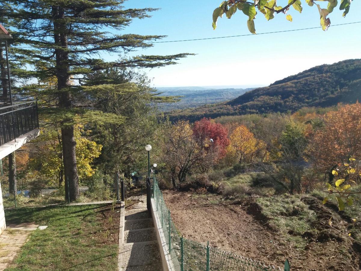 Lupus Domum Villa Pretoro Dış mekan fotoğraf