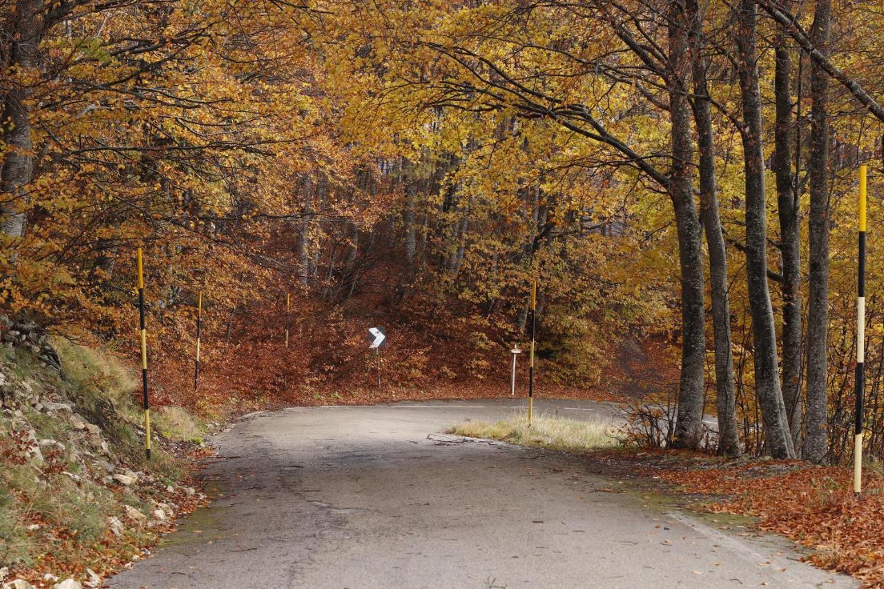 Lupus Domum Villa Pretoro Dış mekan fotoğraf